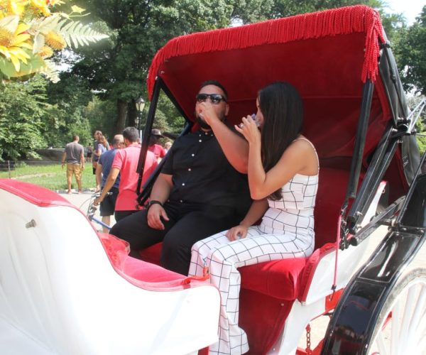 Romantic/Proposal Central Park Carriage Tour Up to 4 Adults – New York City, New York