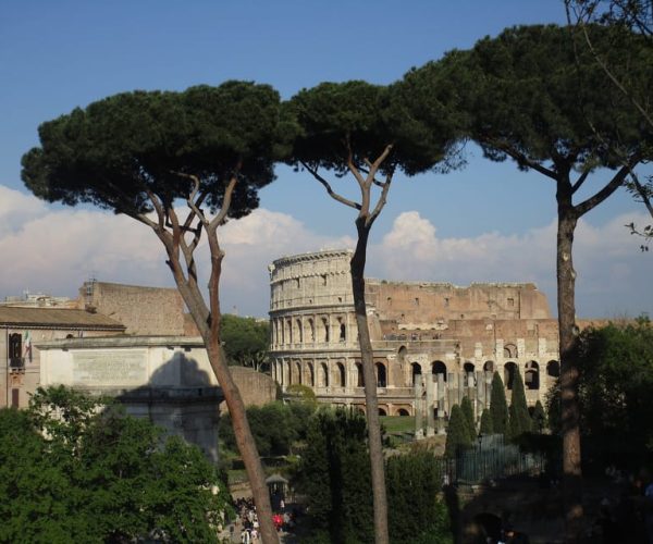 Rome: Colosseum Tour with Local Guide and Entry Ticket – Rome, Italy