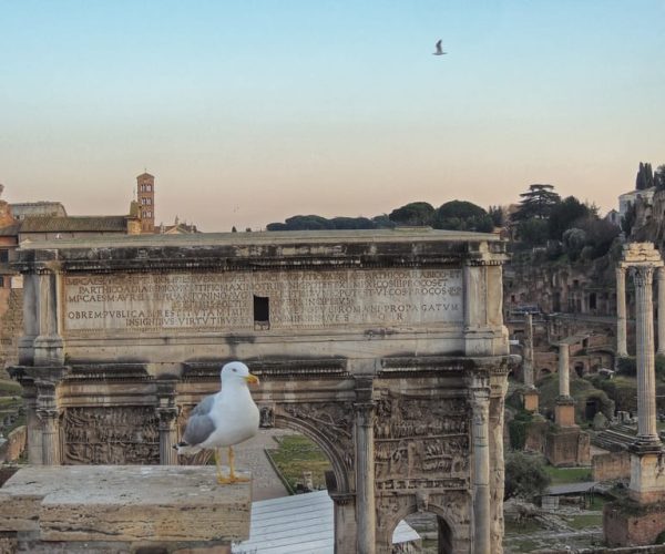 Rome: Colosseum with Arena Floor, Forum & Palatine Hill Tour – Rome, Italy