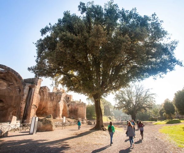 Rome: Hadrian’s Villa and Villa d’Este Half-Day Tour – Rome, Italy