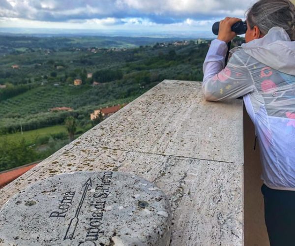 Rome’s countryside: Olive Oil Museum and tasting in E-bike – Rome, Italy