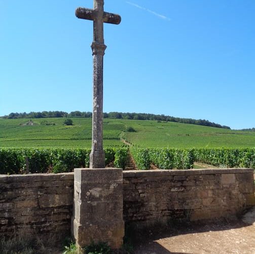 “Route des grands crus”, wine tasting in Burgundy ! – Bourgogne-Franche-Comté, France