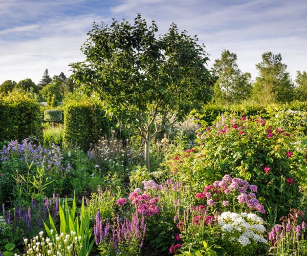 Royal Horticultural Society: Hyde Hall Garden Ticket – South East England, United Kingdom