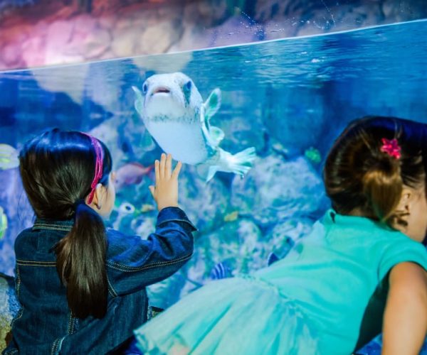 SEA LIFE Aquarium San Antonio – San Antonio, Texas