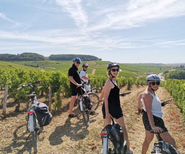 Saint Emilion: e-Bike Winery Tour and Picnic Lunch – Nouvelle-Aquitaine, France