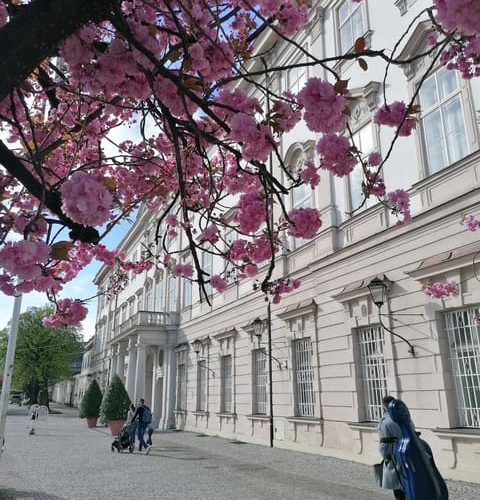 Salzburg: Classical Music Concert at Mirabell Palace Church – Upper Austria, Austria