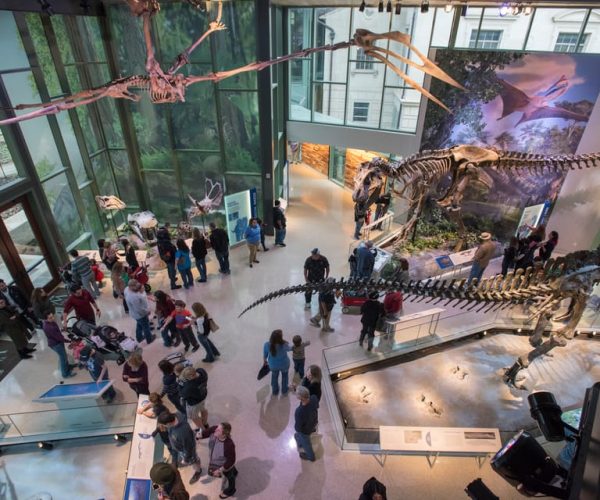 San Antonio: Witte Museum Admission Ticket – San Antonio, Texas