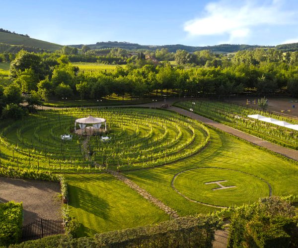 San Gimignano: Romantic Vineyard Lunch – Tuscany, Italy