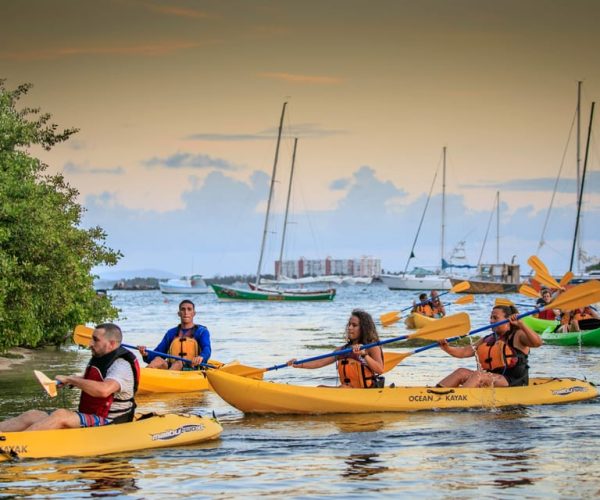 San Juan: Bioluminescent Laguna Grande Bay Night Kayaking – San Juan, Puerto Rico