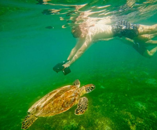 San Juan: Jet Snorkeling with Turtles – San Juan, Puerto Rico