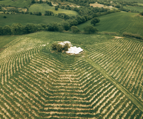 Saturnia: Fattoria La Maliosa Winery Picnic at Sunset Ticket – Tuscany, Italy