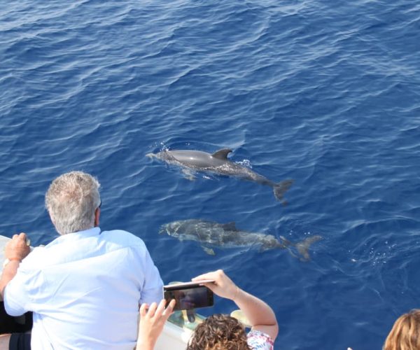 Savona: Pelagos Sanctuary Wildlife Cruise with Guide – Tyrrhenian Sea, Italy