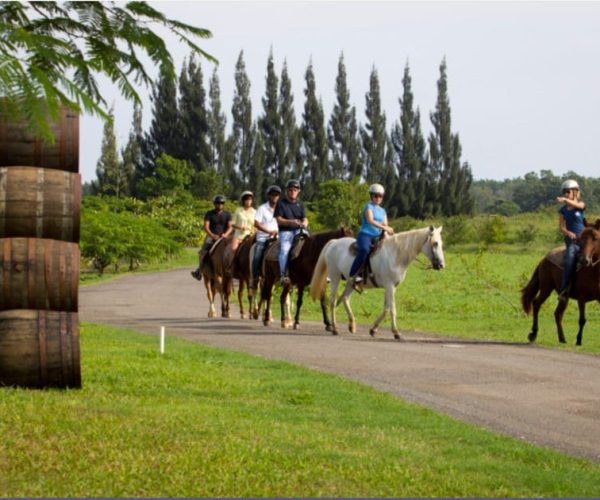 Scenic Horseback Riding Experience – San Juan, Puerto Rico