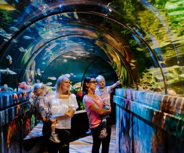 Sea Life Brighton Admission Ticket – South East England, United Kingdom