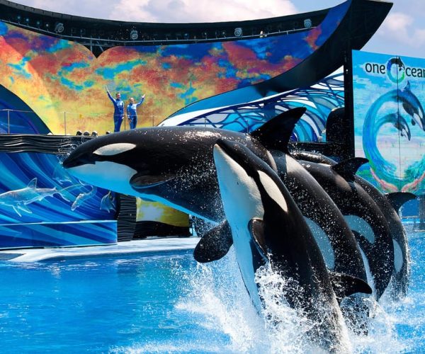 SeaWorld Orlando: Park Admission Ticket – Orlando, Florida