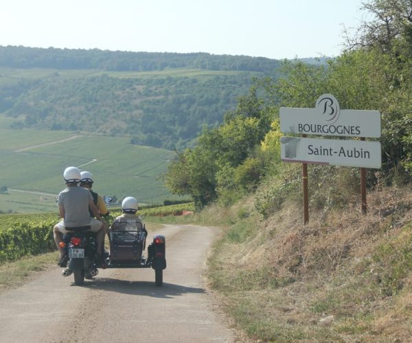 Sidecar tour with tasting a glass of wine in the vineyard – Bourgogne-Franche-Comté, France