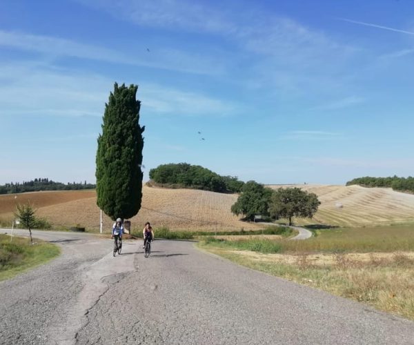 Siena: Chianti Classico Guided Cycling Tour – Tuscany, Italy