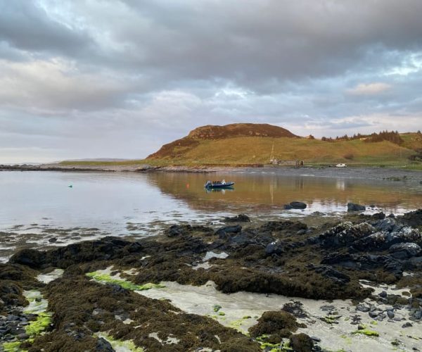 Skerray Bay: North Coast of Scotland Guided Rib Tour – Skerray Bay, Scotland, United Kingdom