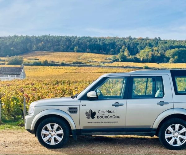 Small group full day tour in the Burgundy vineyards – Bourgogne-Franche-Comté, France