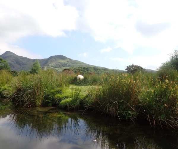 Snowdonia: Llyn Padarn Guided Family Kayaking Adventure – Gwynedd, United Kingdom