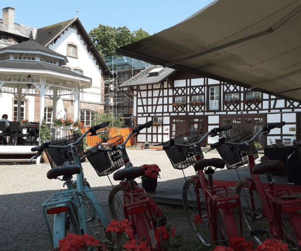 Strasbourg: 1-Day Bike Rental – Grand Est, France