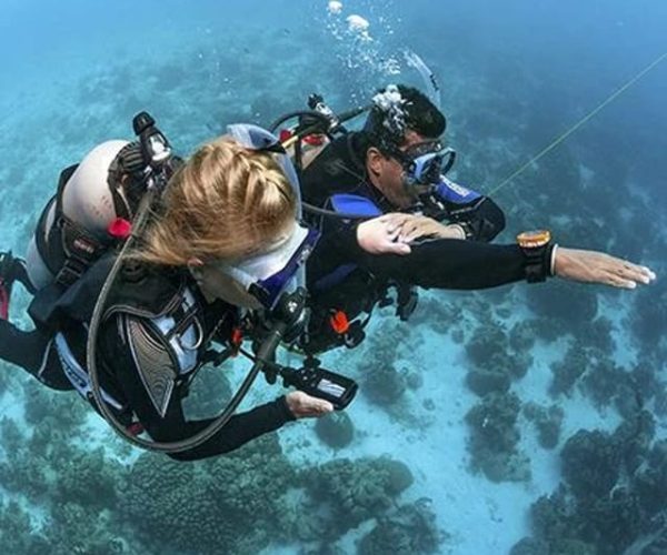 Sunderland: PADI Scuba Diving Experience – England, United Kingdom