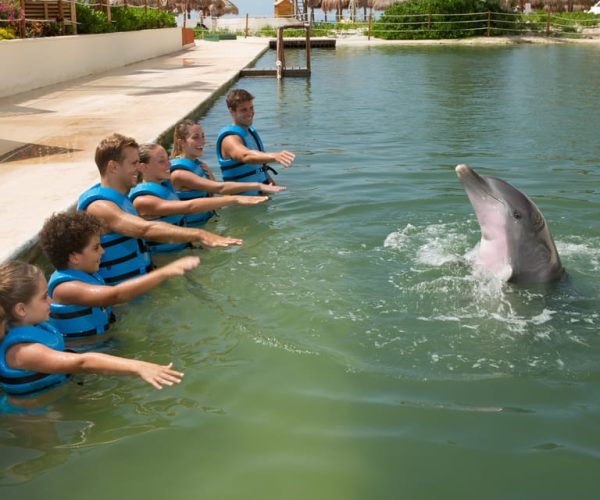 Swim with dolphins Splash – Punta Cancun – Cancun, Mexico