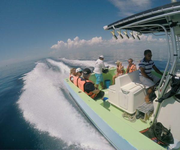 Swimming with Whale Sharks in Cancun – Cancun, Mexico