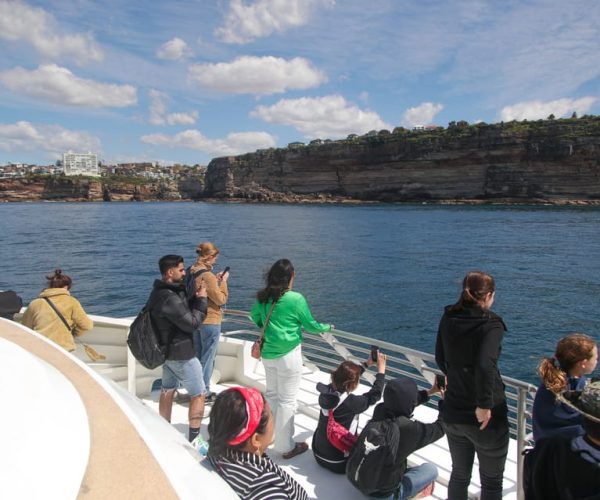 Sydney: 3-Hour Whale Watching Tour by Catamaran – Sydney, Australia