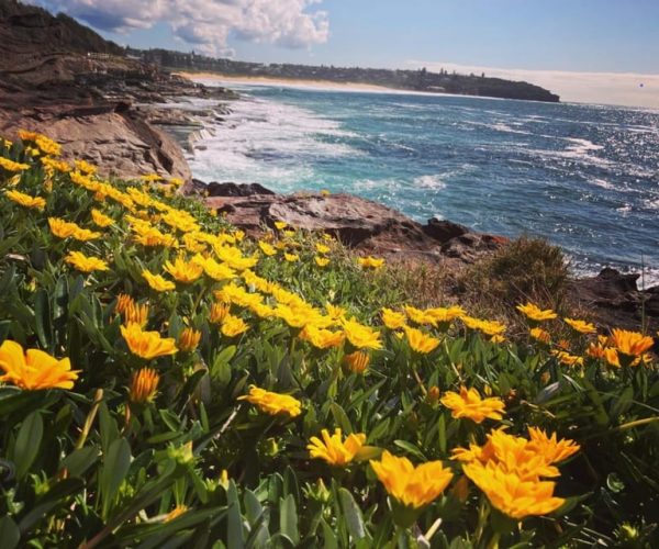 Sydney: Ku-ring-gai Chase National Park Day Tour with Lunch – Sydney, Australia