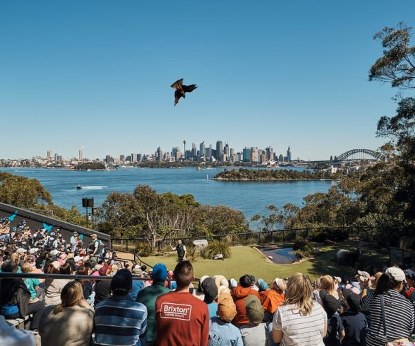 Sydney: Taronga Zoo & 24 or 48hr Sydney Harbour Hopper Pass – Sydney, Australia