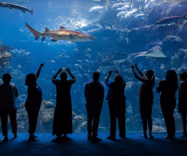 Tampa: The Florida Aquarium Ticket – Tampa, Florida