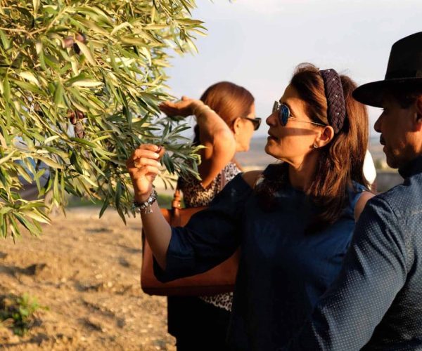 Tasting of EVO Oil in the province of Agrigento – Sicily, Italy