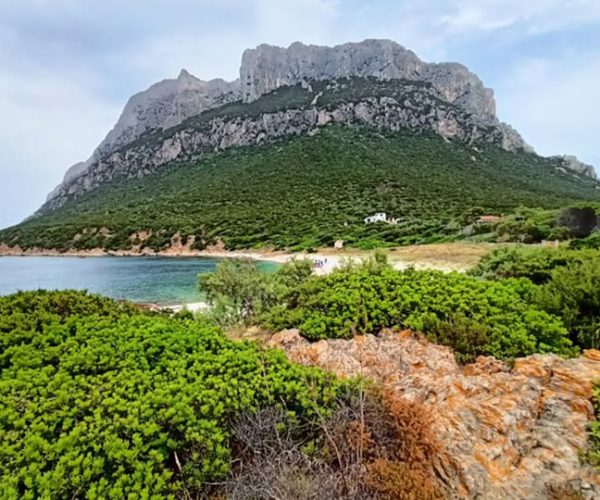 Tavolara: Grand Tour of Archipelago from San Teodoro – Sardinia, Italy