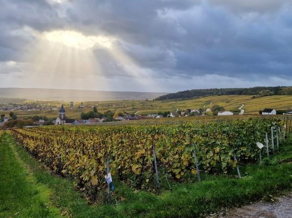 The Champagne Tour – Grand Est, France