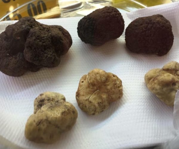 The Truffle Experience in Rome – Rome, Italy