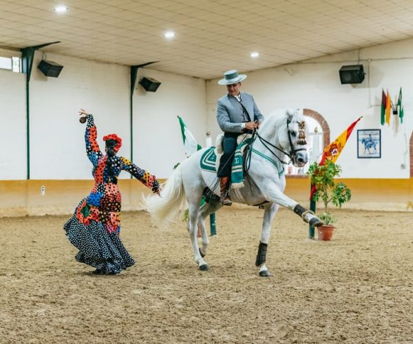 Torremolinos: Andalusian Horse Show with Flamenco Dance – Andalusia, Spain