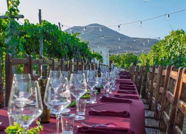 Tour Pompei Scavi e pranzo alle Cantine del Vesuvio – Pompei, Italy