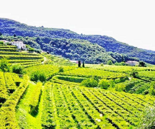 Tour Soave – Veneto, Italy