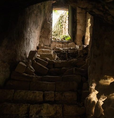 Tour tra i Templi dell’Olio e gli Olivi Patriarchi – Apulia, Italy