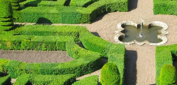 Touraine: Château d’Amboise and Château du Clos Lucé Tour – Centre-Val de Loire, France