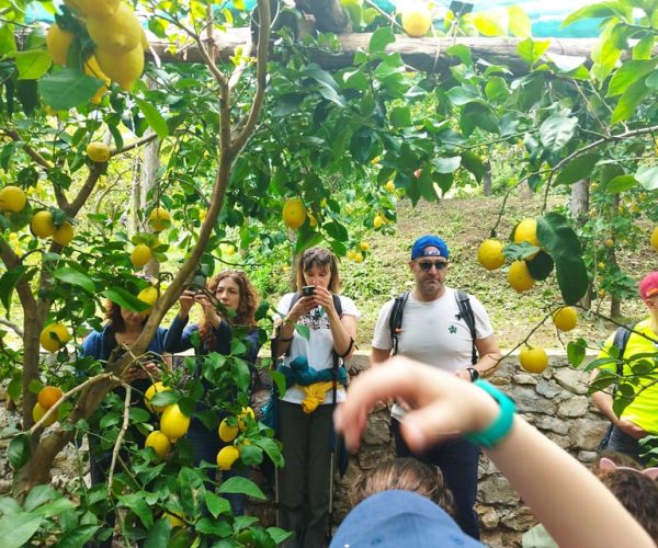 Trekking Lemon Tour – Campania, Italy