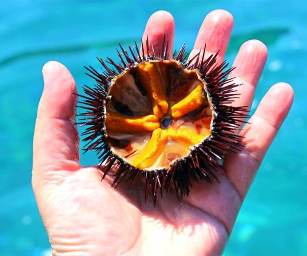 Tropea: Scoglio delle Sirene Snorkeling Cruise with Aperitif – Ionian Sea, Italy