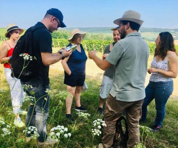 Troyes: Guided Vineyard Hike & Champagne Tasting Experience – Grand Est, France