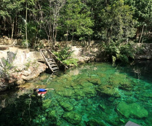 Tulum: Casa Tortuga Cenote Natural Park Guided Tour & Lunch – Tulum, Mexico