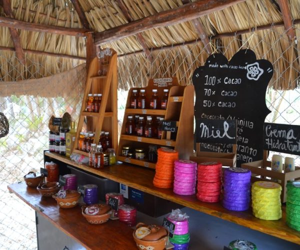 Tulum: Raw Honey & Chocolate Tour with Vegan Lunch & Cenote – Tulum, Mexico