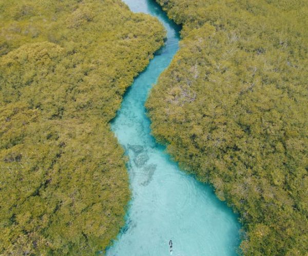 Tulum: Scuba Diving in Cenotes – Tulum, Mexico