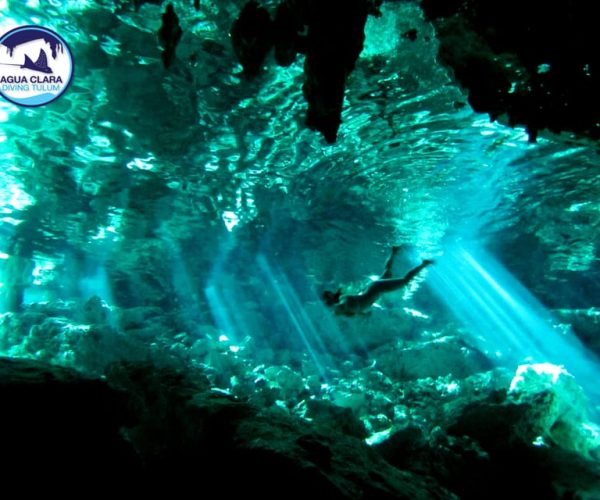 Tulum: Snorkeling Adventure in Cenote and Reef – Tulum, Mexico