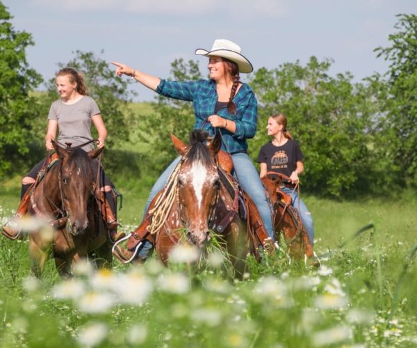 Upper Austria: landscape, forests, meadows – Upper Austria, Austria