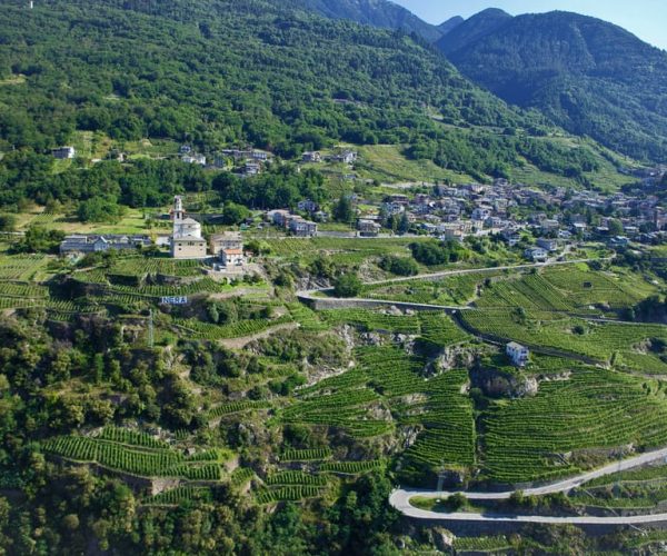 Valtellina: Winery Tour and Tasting Experience – Lombardy, Italy